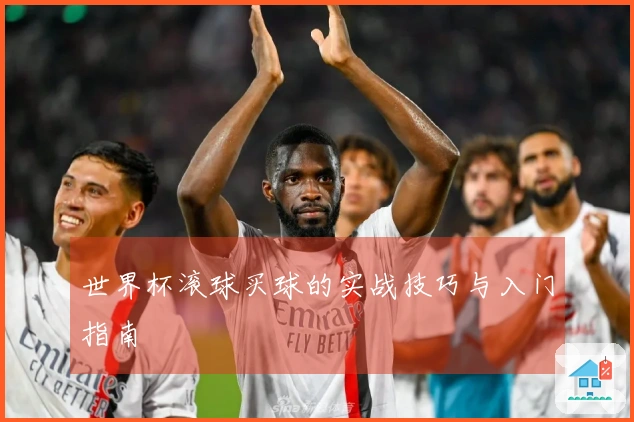 世界杯滚球买球的实战技巧与入门指南