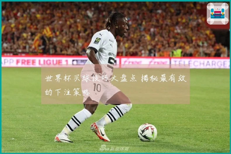 世界杯买球技巧大盘点 揭秘最有效的下注策略