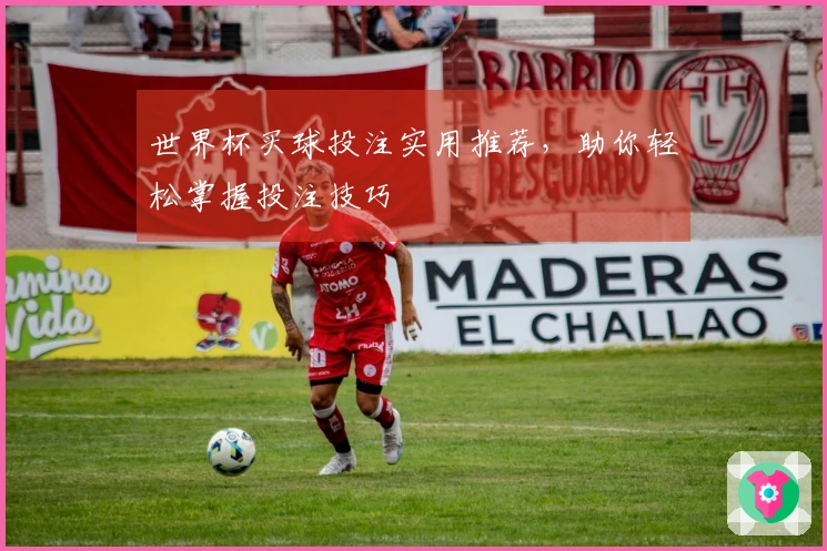 世界杯买球投注实用推荐，助你轻松掌握投注技巧