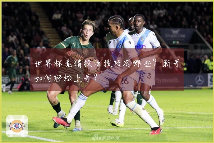 世界杯竞猜投注技巧有哪些？新手如何轻松上手？