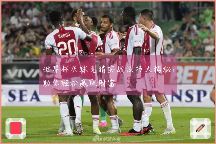 世界杯买球竞猜实战技巧大揭秘，助你轻松赢取财富
