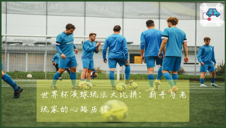 世界杯滚球玩法大比拼：新手与老玩家的心路历程