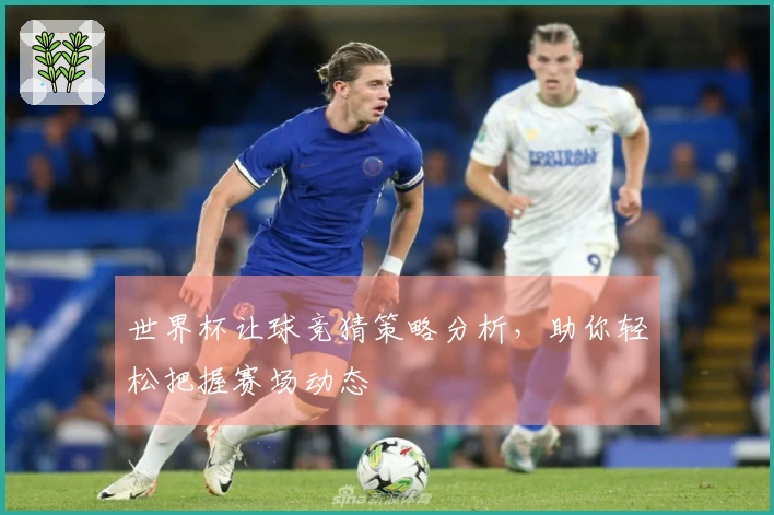 世界杯让球竞猜策略分析，助你轻松把握赛场动态