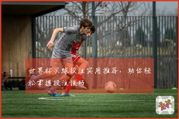 世界杯买球投注实用推荐，助你轻松掌握投注技巧
