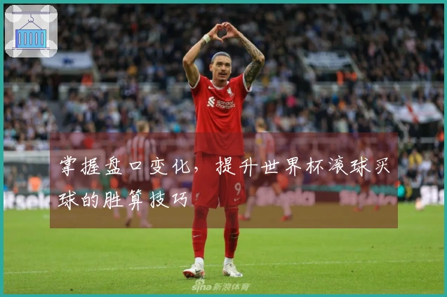 掌握盘口变化，提升世界杯滚球买球的胜算技巧