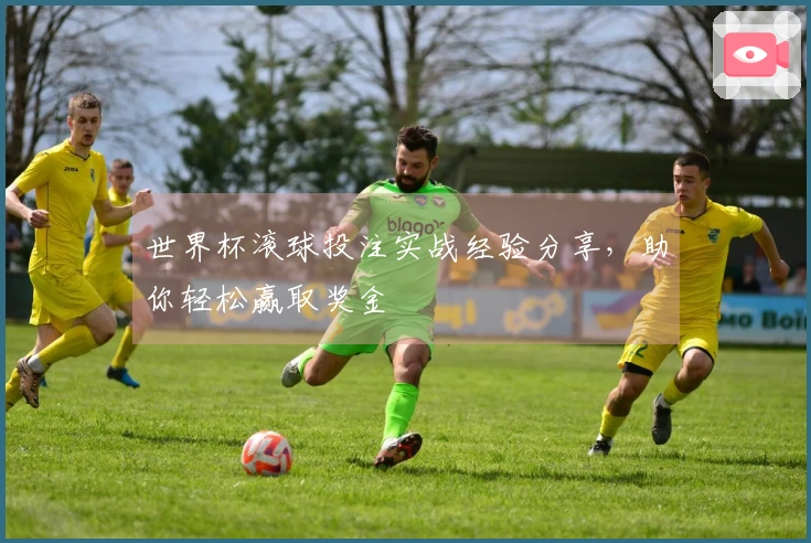 世界杯滚球投注实战经验分享，助你轻松赢取奖金