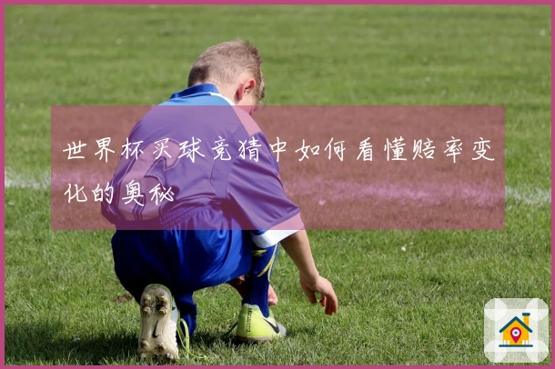 世界杯买球竞猜中如何看懂赔率变化的奥秘
