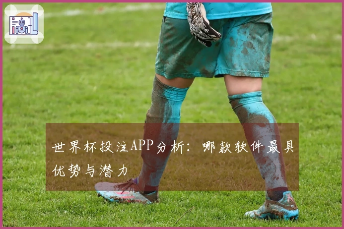 世界杯投注APP分析：哪款软件最具优势与潜力