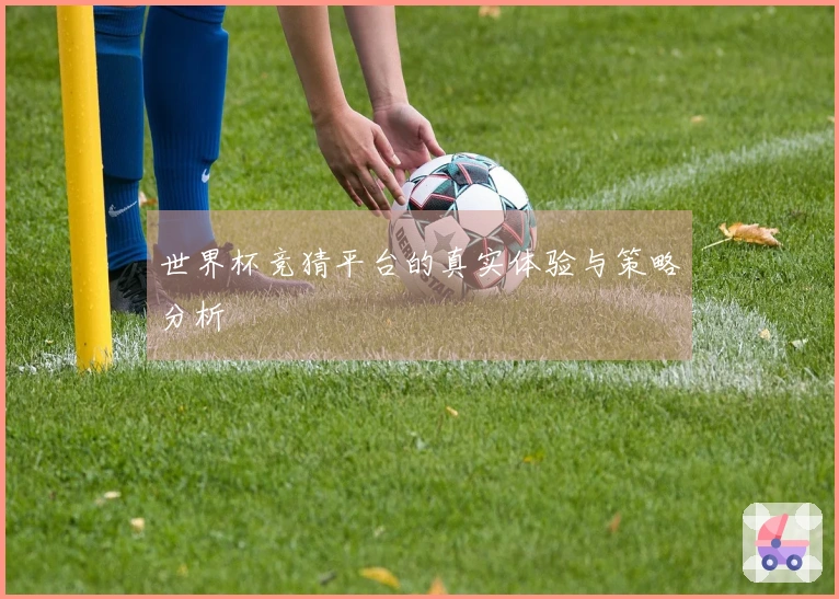 世界杯竞猜平台的真实体验与策略分析