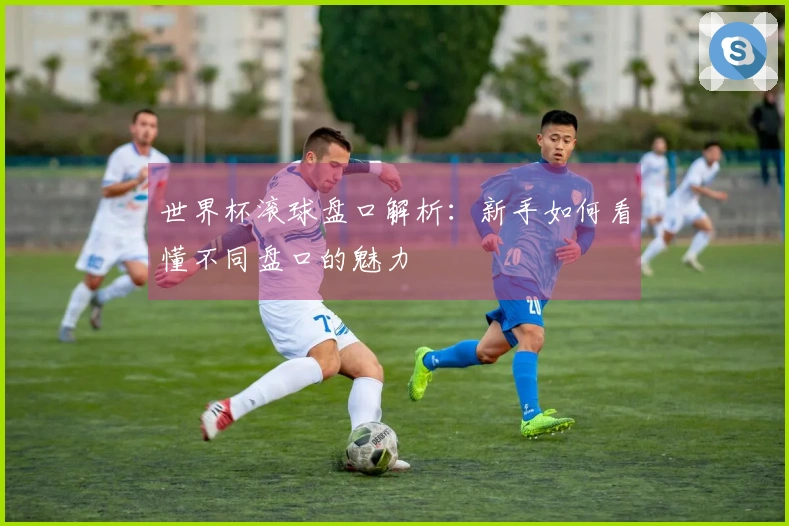 世界杯滚球盘口解析：新手如何看懂不同盘口的魅力