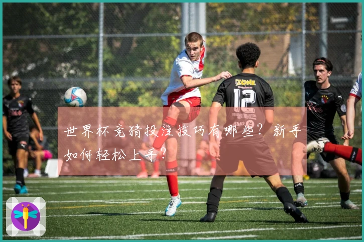 世界杯竞猜投注技巧有哪些？新手如何轻松上手？
