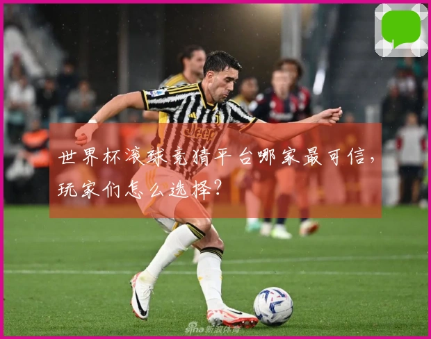 世界杯滚球竞猜平台哪家最可信，玩家们怎么选择？