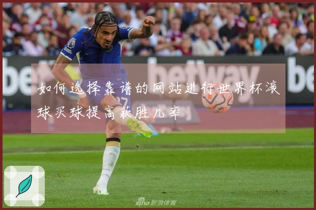 如何选择靠谱的网站进行世界杯滚球买球提高获胜几率